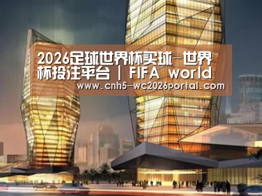 案例展示三