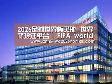 案例展示五