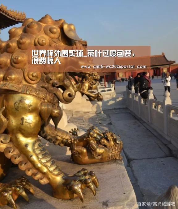 世界杯买球网站