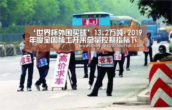 ‘世界杯外围买球’13.2万吨!2019年度全国稀土开采总量控制指标下达(图1) 世界杯买球网站