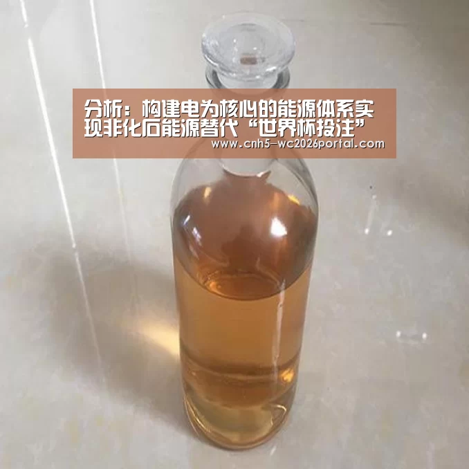 分析:构建电为核心的能源体系实现非化石能源替代“世界杯投注”(图2) 世界杯外围买球