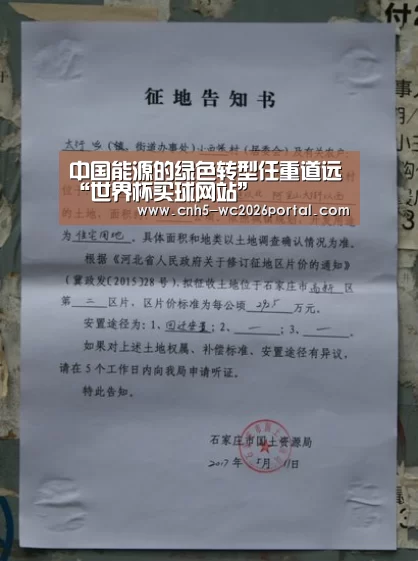 中国能源的绿色转型任重道远“世界杯买球网站”(图1) 世界杯买球网站