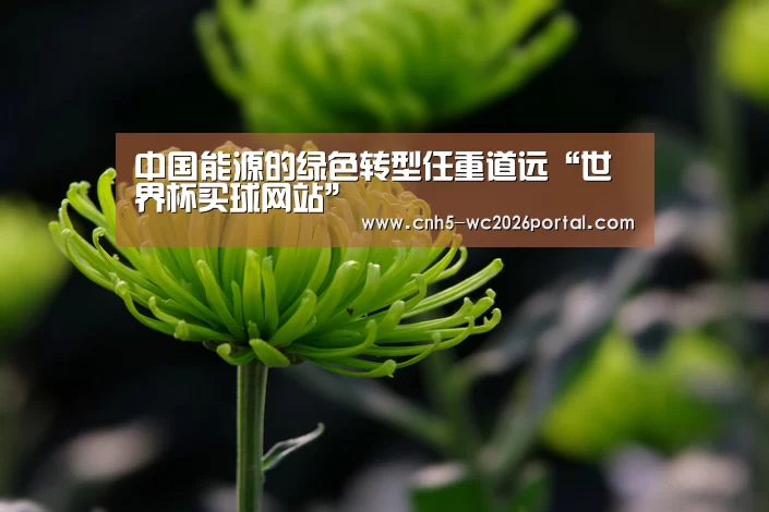 中国能源的绿色转型任重道远“世界杯买球网站”(图2) 世界杯投注