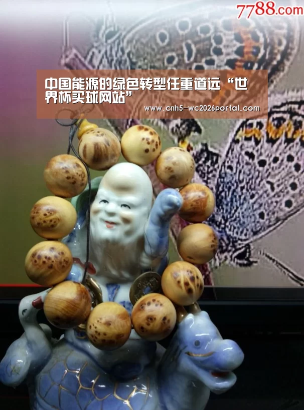 中国能源的绿色转型任重道远“世界杯买球网站”(图3) 世界杯买球网站