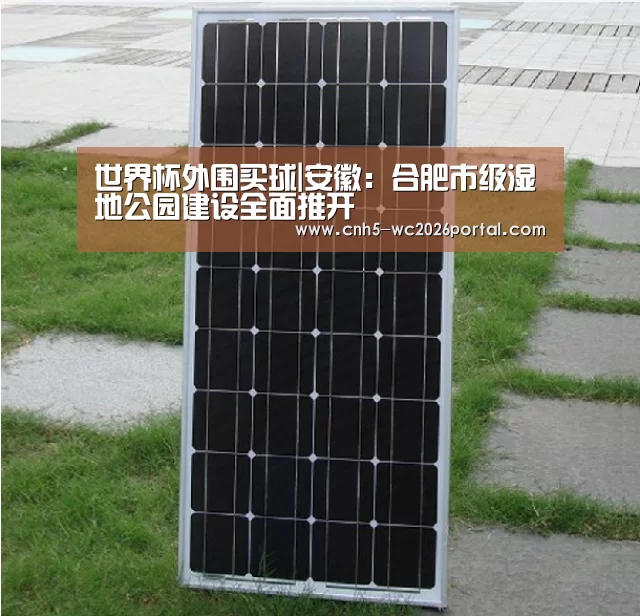 世界杯外围买球|安徽:合肥市级湿地公园建设全面推开(图1) 世界杯外围买球