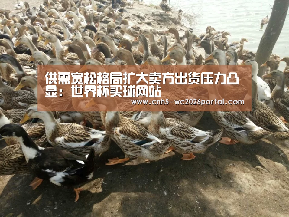 世界杯外围买球