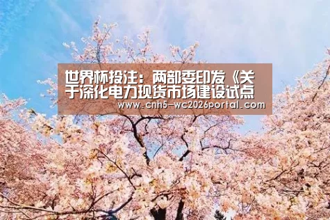 世界杯外围买球