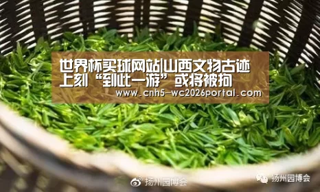 世界杯外围买球